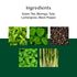 Vahdam Tea Moringa Tulsi Green Tea